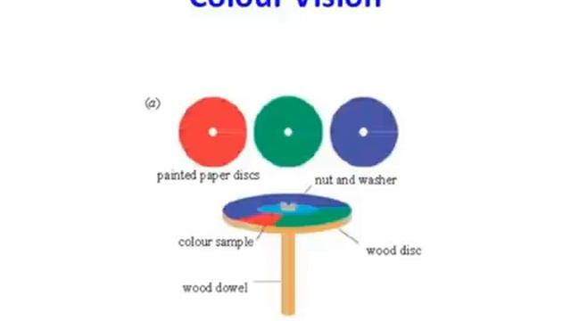 Megastructures Documentary HD - Maxwell, The inventor of Electromagnetic Theory смотреть онлайн