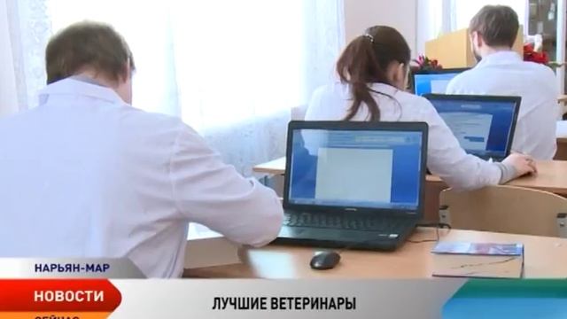 В НАЭТе выбрали лучшего молодого ветеринара смотреть онлайн
