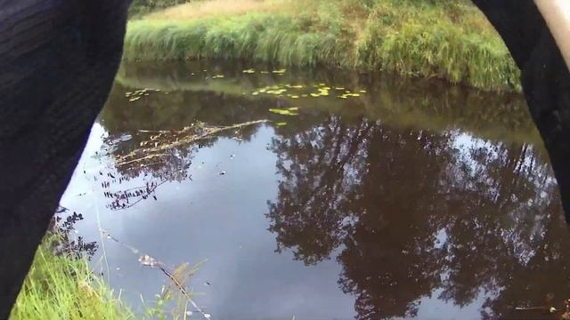 река Шалочь, Устюженский район. Рыбалка на вертушки. смотреть онлайн