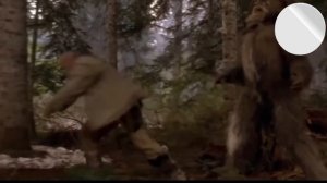 УДАРЫ ПО ЯЙЦАМ #1