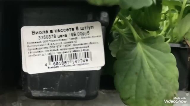 ОБИ Католог Всё вокруг дачи. В Оби завезли рассаду! Рассада и цены. смотреть онлайн