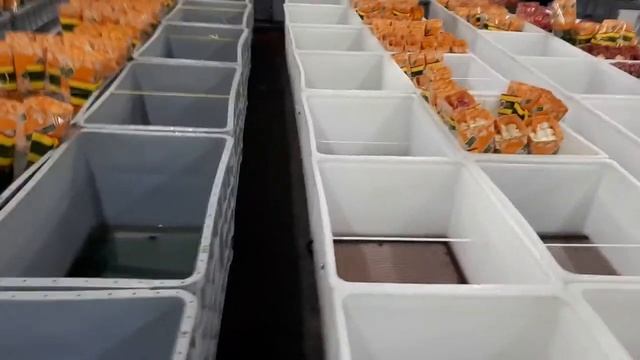 Эквадорская плантация роз Hoja Verde (Оха Верде) - розы оптом от Interfloralogistic.RU смотреть онлайн