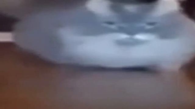 Забавные видео звучат так–