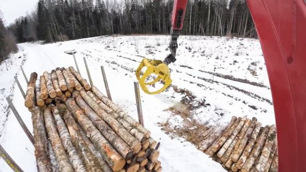 Loading birch logs with the new truck