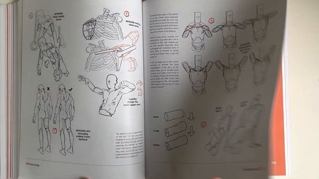 Anatomy for Artists: Drawing Form & Pose by tomfoxdraws flip through. MUST HAVE!! смотреть онлайн