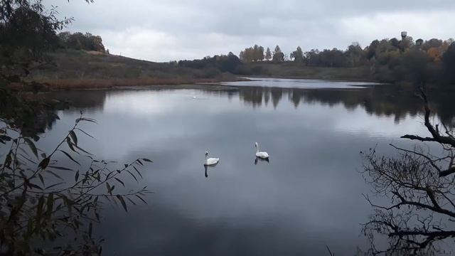 А белый лебедь на пруду... смотреть онлайн