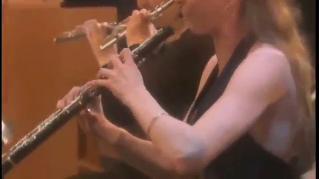 Brahms Violin Concerto, mvt. ii Dutoit and Repin, Verbier смотреть онлайн