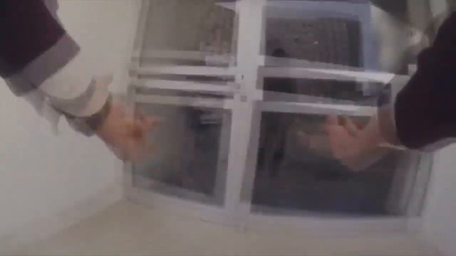 💥😜💥Я РЖАЛ ДО СЛЁЗ💥СМЕШНЫЕ ЖИВОТНЫЕ💥ПРИКОЛЫ С ЖИВОТНЫМИ💥КОТЫ💥СОБАКИ💥petsworld #17 смотреть онлайн