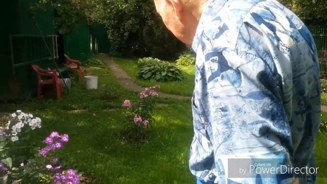 ДАЧА///как я провожу время летом на даче/мне 92???/поддержите лайками и подпиской на канал)))