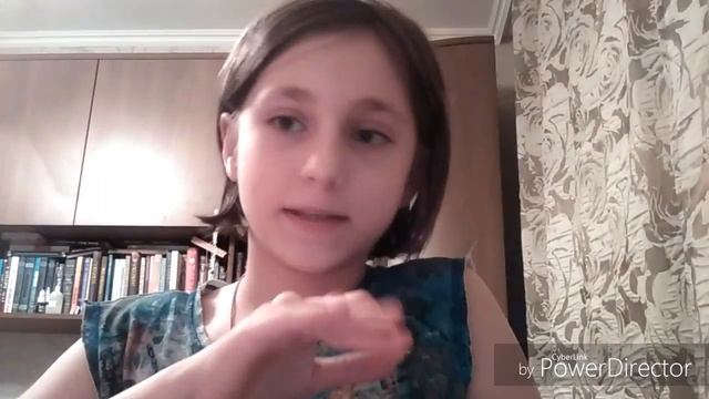 Все породы морских свинок/ какие есть породы морских свинок? смотреть онлайн