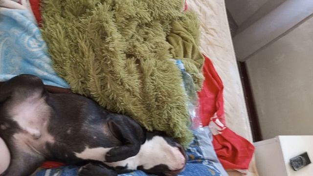 ещё тот харек смотреть онлайн