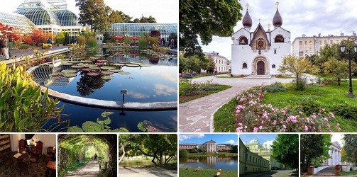 #SvetlanaSorokina #DoItYourself #Contest #LiveinCity 19 05 2023