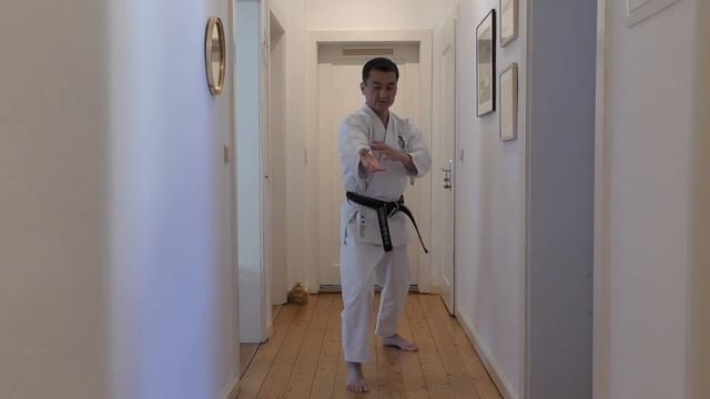 Karate Fitness Training at Home #6【Heian Sandan 平安３段】誰でも自宅で出来る空手フィットネス・レッスン６【Akita's Karate Video】 смотреть онлайн
