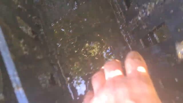 Как почистить проточный биофильтр для пруда. Wie Man Den Biofilter Für Den Teich Reinigt.