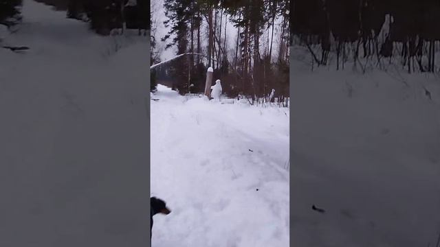 Смотреть всем!!! Снежный человек в Балашихе!!! Природа это сила!!! смотреть онлайн