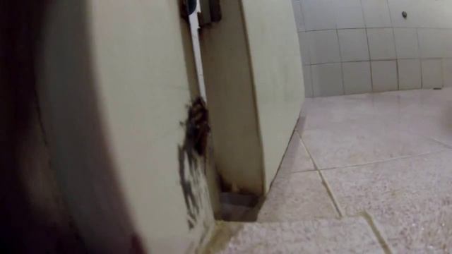 Таракан Вася из нашего бунгало смотреть онлайн