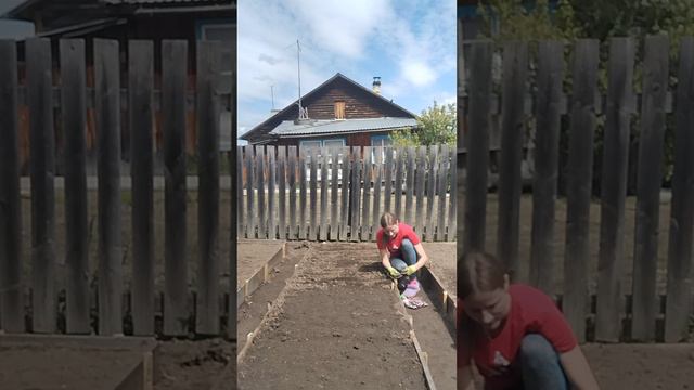 Новые грядки/посадка лука