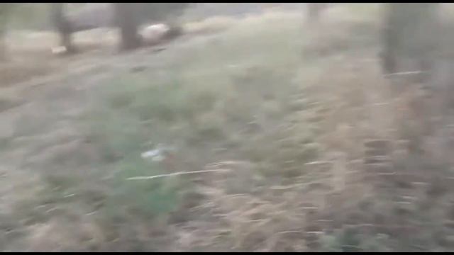 Лёлик и Болик смотреть онлайн