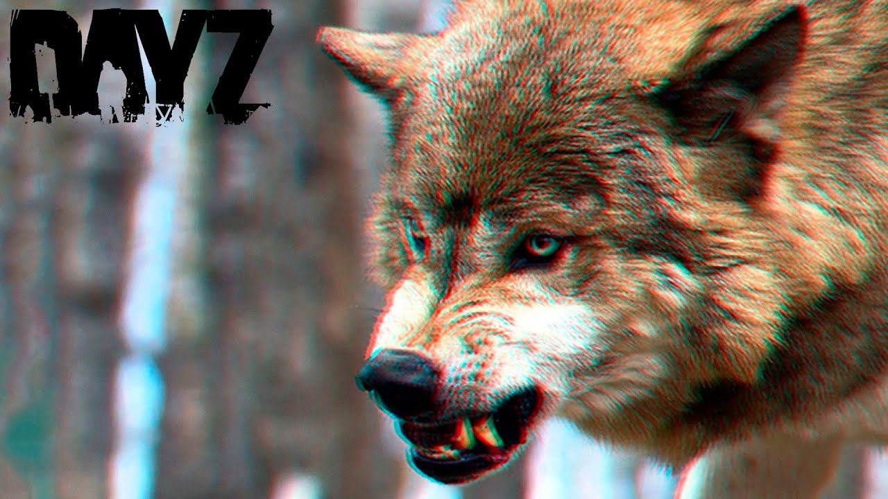 Волки ! (DayZ) смотреть онлайн