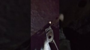 Clio 3 k4m, вот где стоит датчик коленвала