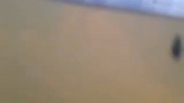 У дафнии завёлся аулофорус смотреть онлайн