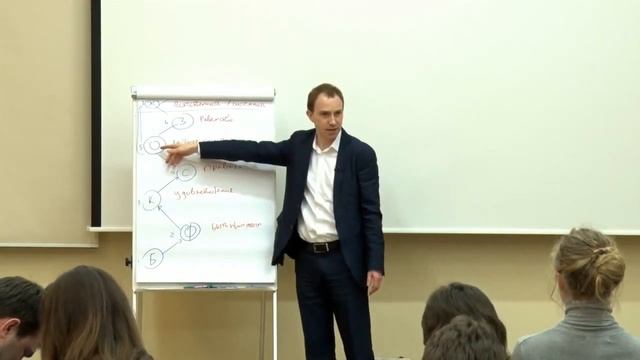 7 уровней лидерства (применение Спиральной Динамики) смотреть онлайн