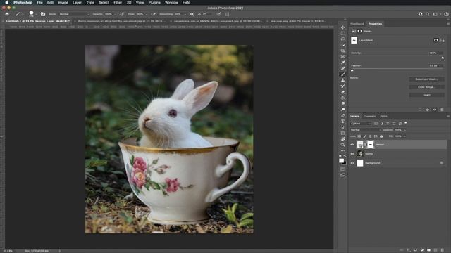 PHOTOSHOP FOR KIDS | Create a Glowing Bunny & Butterfly Photo! смотреть онлайн