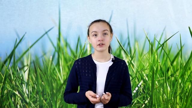 Почему растения зелёные? смотреть онлайн