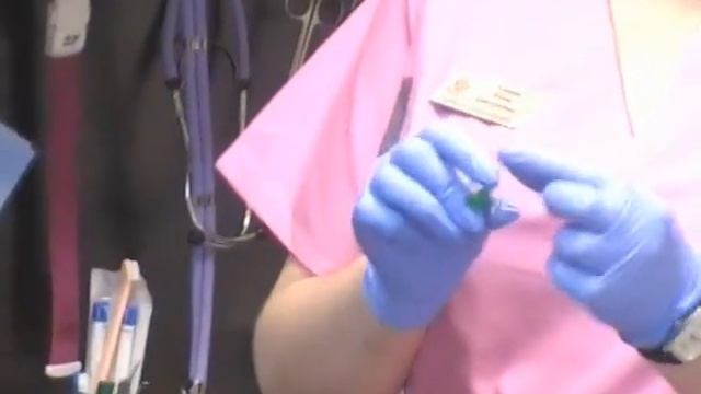 Пушистые Сюрпризы