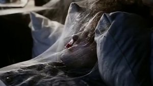 The Cure Lullaby.mp4