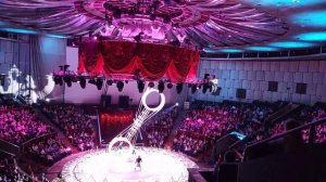 Цирк шоу воды, огня и света! 🔥 🔥 🔥