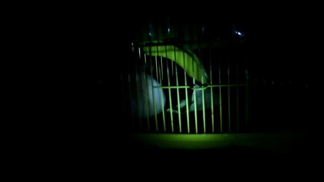 мой хомяк.mp4 смотреть онлайн