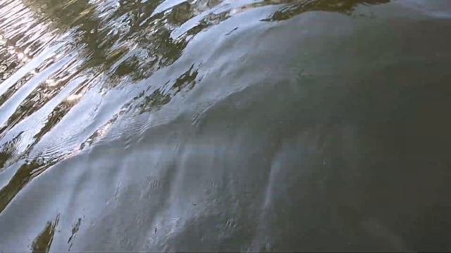 Приехал искать под водой золото, а накопал монет и серебра смотреть онлайн