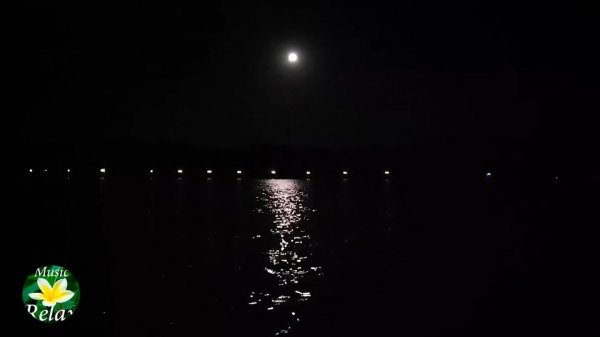 Calm Sea at night and Relaxing Sound of Waves