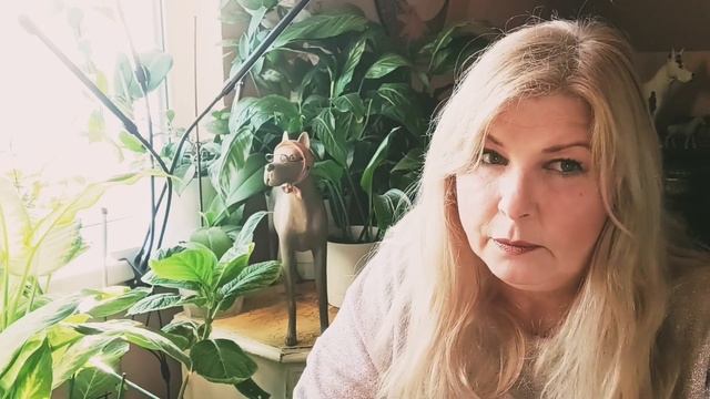 Первые заморозки....Как пахнет иней? смотреть онлайн