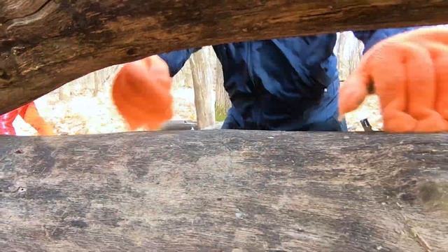 СТРОИМ ИЗБУ В ЛЕСУ | ЛОВУШКА НА КАБАНА | ВТОРАЯ СЕРИЯ смотреть онлайн