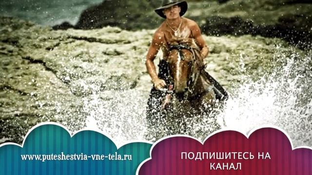 СОННИК - К чему снится ЛОШАДЬ? смотреть онлайн