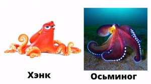 Немо и дори - лучшие друзья!