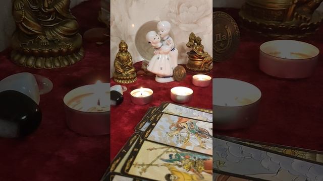 Что сейчас и в будущем меня ждёт?#гаданиенабудущее #гаданиеначувства #гаданиеонлайн #гаданиетаро #р смотреть онлайн