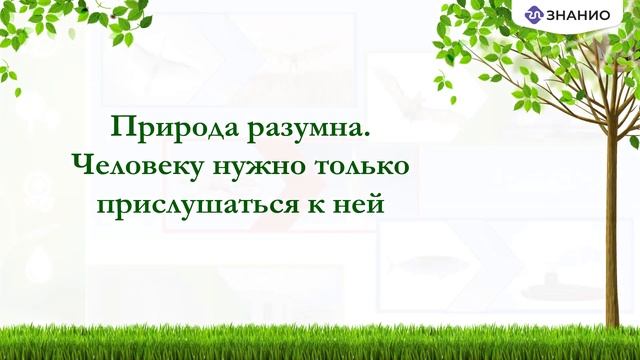 Классный час на тему «Экология и ее законы»