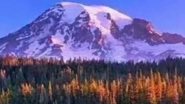 - Настя, забери ее! Я не могу больше! Лизу трясло. Ребенок у нее на руках заходился плачем. Истории смотреть онлайн