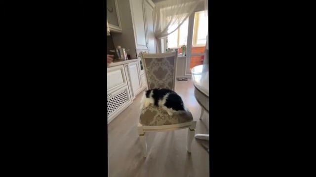 Zepter Latvia: Отзывы о системе очистки воды Aqueena от Zepter смотреть онлайн