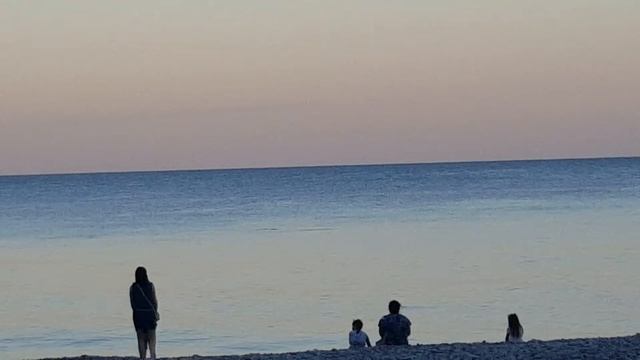 18 августа 2020 г. Абхазия. Пицунда. Пансионат "Пицунда". Дельфины смотреть онлайн