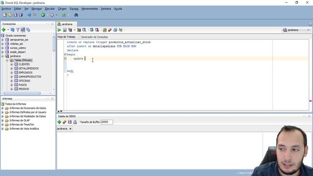Ejercicios PL/SQL #11 - Trigger actualiza stock смотреть онлайн