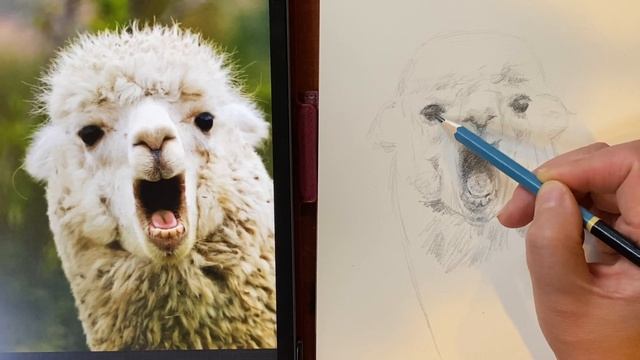Lama Sketching смотреть онлайн