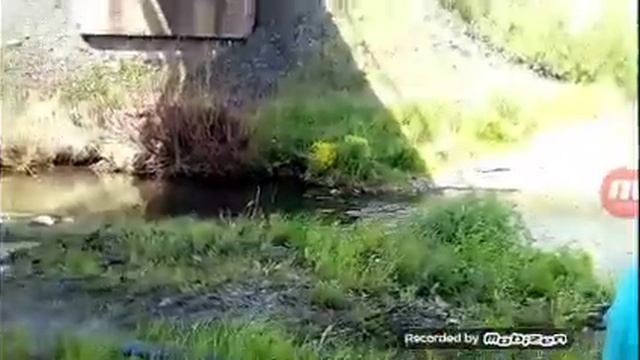 Рыбалка на пескаря жарим рыбу :-) смотреть онлайн