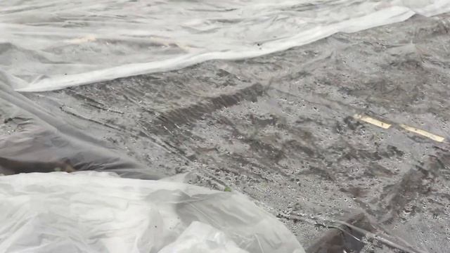 Начало выращивания рассады овощных и цветочных культур смотреть онлайн