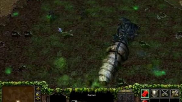 AVP - extinction 2 (wc3)