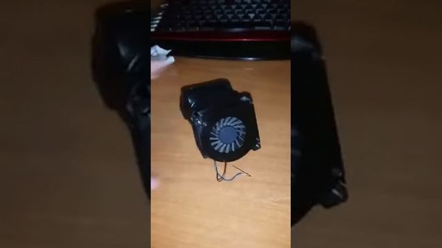 Эстетика домашнего интерьера