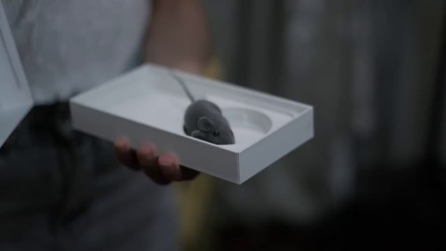 amil mesele #music смотреть онлайн